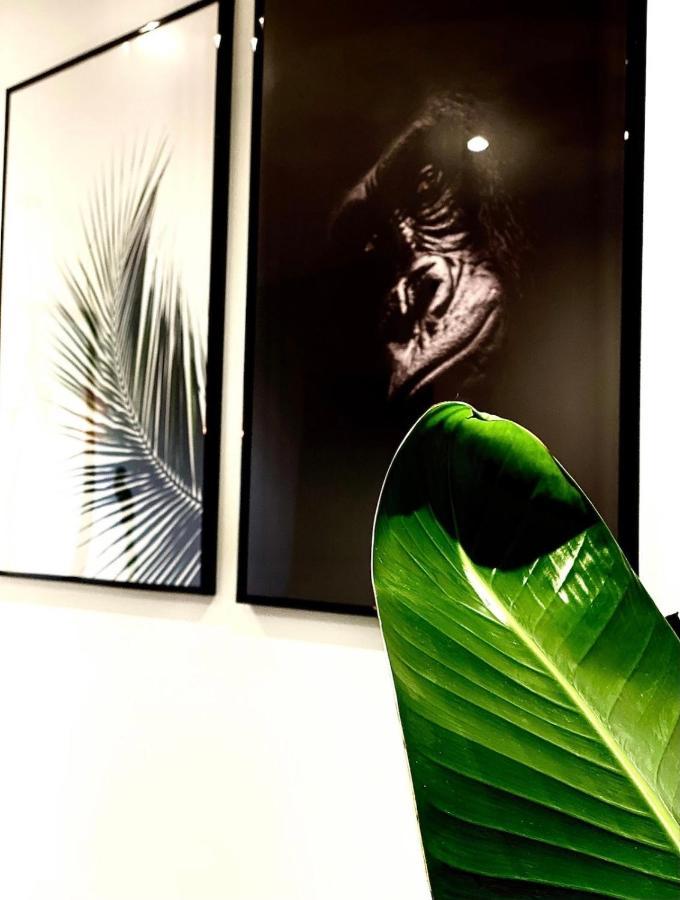 Jungle Garage Privé Netflix Appartement